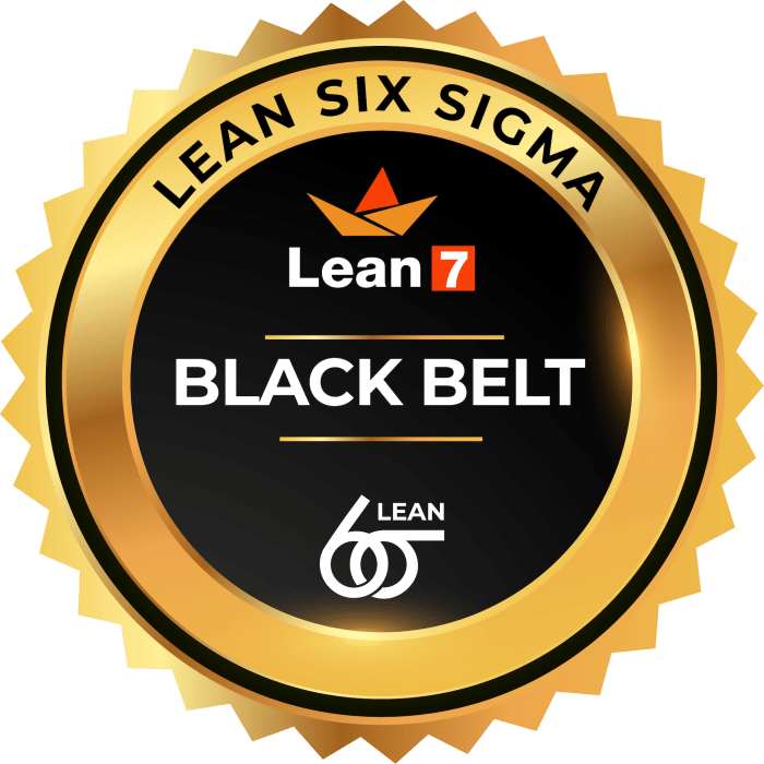 Belt jitsu sigma six master certification lean karate ju training calgary stock sensei martial arts