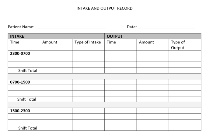 Intake and output practice worksheets