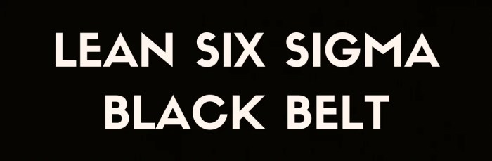 Villanova lean six sigma black belt