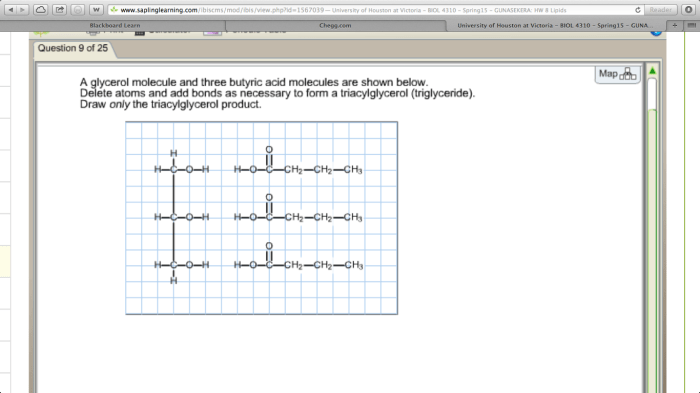 Triglyceride molecule fats chemistry fatty glycerol esters alcohol acids triglycerides lipids form composed