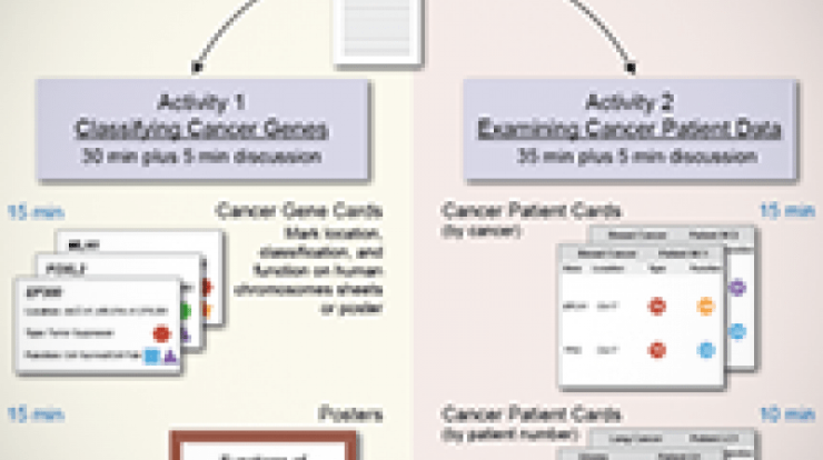 Eukaryotic cell cycle and cancer in depth answer key