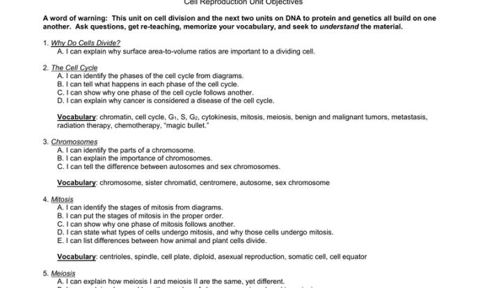 Meiosis introduction activity 2019 answer key