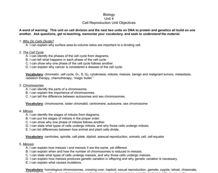 Meiosis introduction activity 2019 answer key