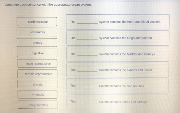 Complete each sentence with the appropriate organ system