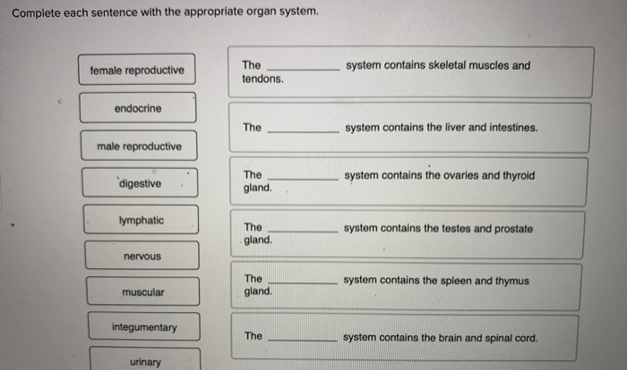 Organ systems human functions organs body system their function anatomy notes choose board