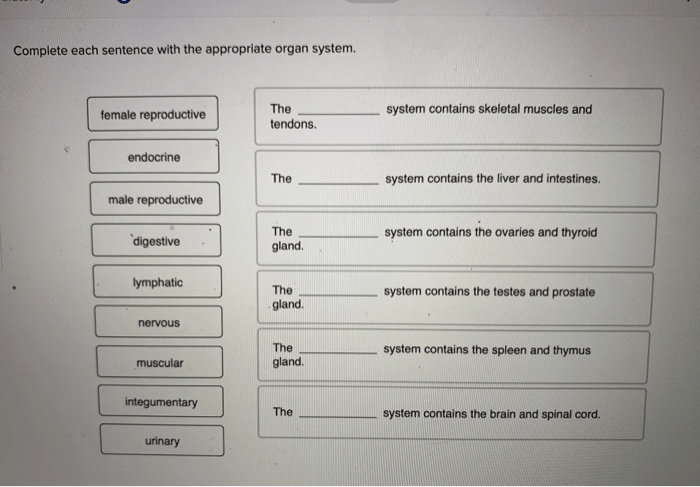 Organ systems human functions organs body system their function anatomy notes choose board